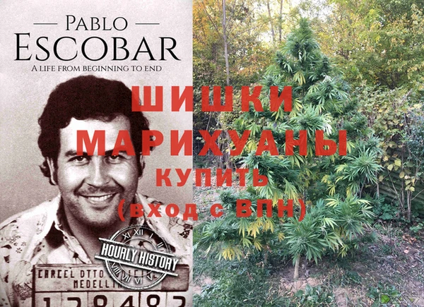тгк Мегион