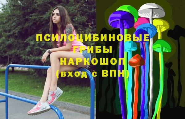 гидропоника Медвежьегорск