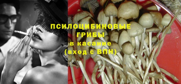 тгк Мегион