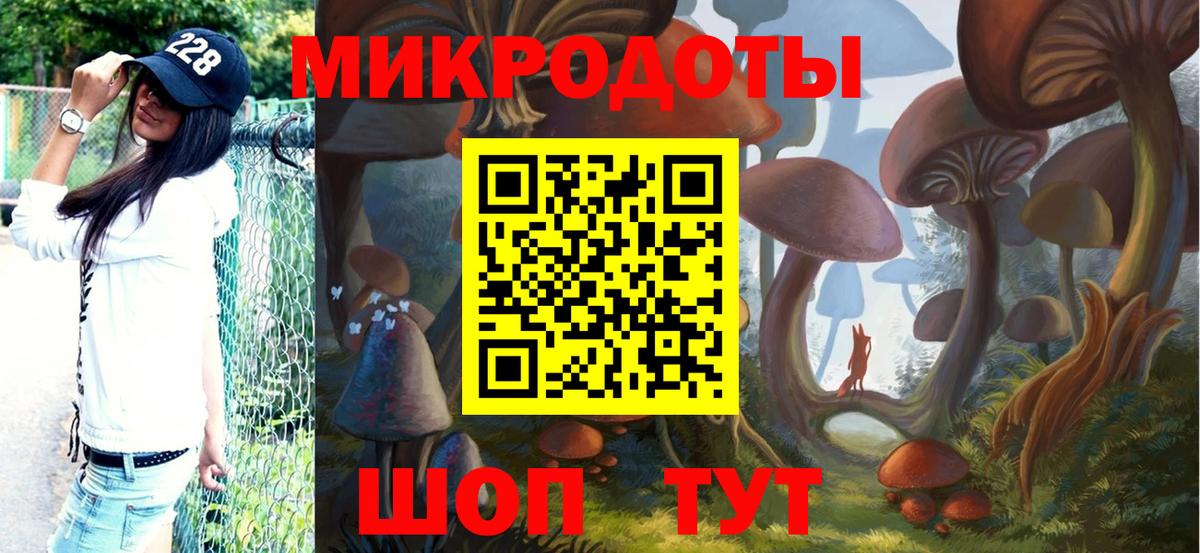 Галлюциногенные грибы MAGIC MUSHROOMS  Вход с VPN  купить наркоту  Ачинск 